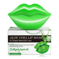 Aloe Vera Lip Mask 60g (20pcs)