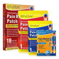 SEFUDUN Pain Relief Patches Set